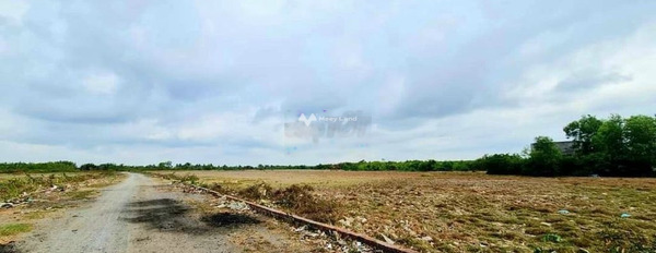 Bán đất 1.2 triệu Phước Khánh, Nhơn Trạch có diện tích 1200m2-03