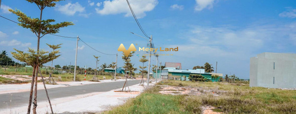 Bán mảnh đất 310m2 giá mua ngay 3,1 tỷ vị trí tốt ngay Xoài Quỳ, Bình Thuận-03
