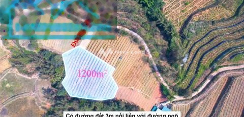Giá bán đề xuất 2.1 tỷ, Bán đất có diện tích chính 1200m2 mặt tiền tọa lạc ở Tả Phìn, Sa Pa tin chính chủ-03