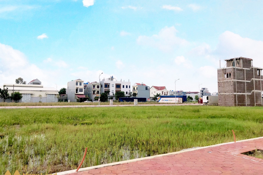 Bán đất nền dự án khu dân cư Dị Chế mới thị trấn Vương, trung tâm huyện Tiên Lữ-01