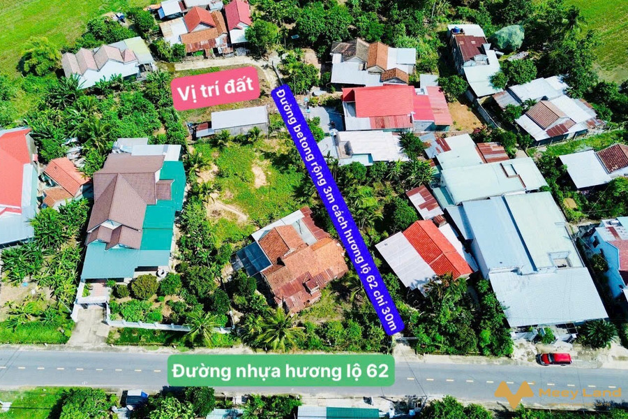 Bán đất Diên Thọ gần Hương lộ 62 rộng rãi làm nhà vườn-01