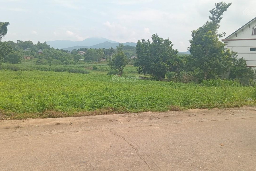 Bán 3880m2 đất view cánh đồng, trục chính xóm Muỗi, Yên Bài, Ba Vì, HN -01
