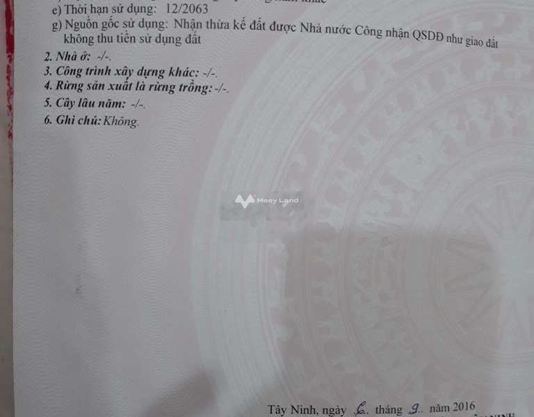 Vị trí mặt tiền tọa lạc ngay Hòa Thành, Tây Ninh cho thuê đất thuê ngay với giá tốt bất ngờ 7 triệu/tháng với diện tích thực 6900m2-01