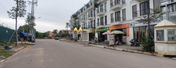 Bán nhanh N35 dự án Rùa Vàng City, Lạng Giang, Bắc Giang-02