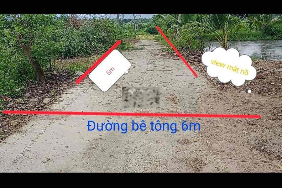 Lương Sơn, Ninh Sơn bán đất giá bán chỉ từ chỉ 319 triệu tổng diện tích 134m2-01