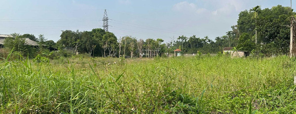 Tọa lạc ngay tại Liên Xã, Lương Sơn bán đất diện tích quy đổi 3014m2-02