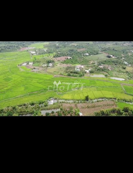 Tọa lạc trên Hòa Xuân, Đắk Lắk bán đất, giá bán đàm phán 65 triệu diện tích tầm trung 600m2-01