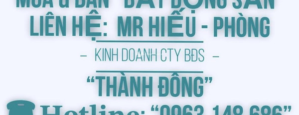 Bán đất vị trí hấp dẫn ngay tại Cộng Hòa, Chí Linh. Diện tích 70m2-03