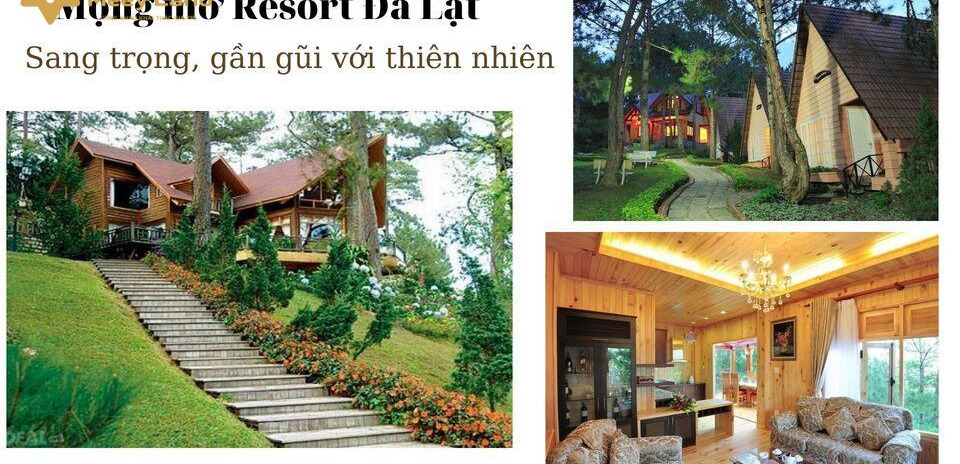 Cho thuê Mộng mơ Resort Đà Lạt