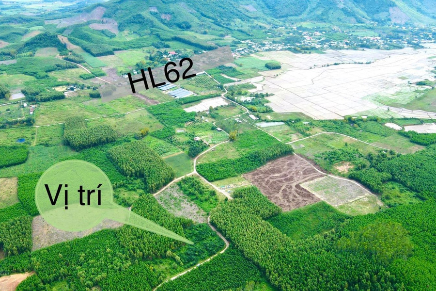 1.15 tỷ bán đất diện tích trong khoảng 3800m2 vị trí tiềm năng Diên Tân, Diên Khánh-01