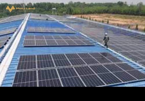 Bán đất trang trại và đất gồm 2m dự án điện năng lượng mặt trời đang hoạt động