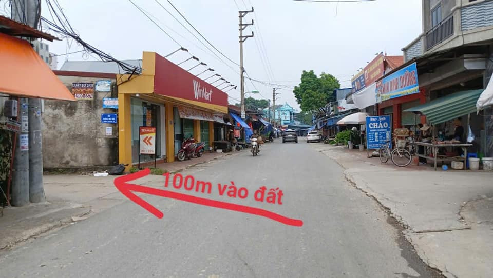 Bán đất huyện Sóc Sơn thành phố Hà Nội giá 1.0 tỷ-4