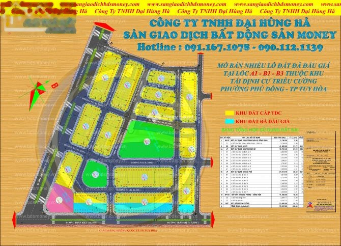 Ở Trần Kiệt, Phú Đông bán đất 2.7 tỷ, hướng Đông diện tích chính là 100m2-01