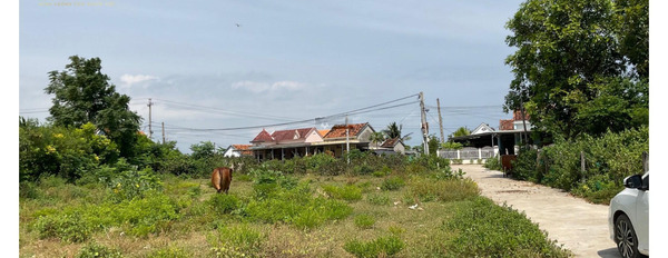 Bán đất tại Ninh Thọ, Khánh Hòa. Diện tích 226m2-03