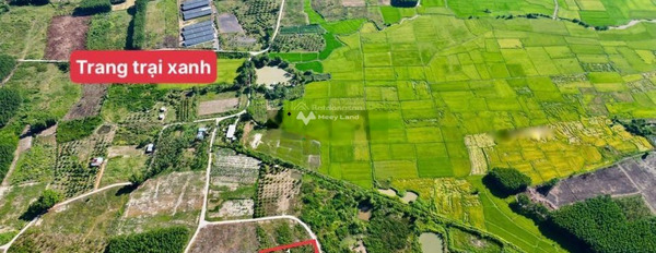 Công việc cấp bách bán mảnh đất, 700m2 giá bán hiện tại 345 triệu vị trí đẹp tọa lạc tại Diên Khánh, Khánh Hòa trao đổi trực tiếp-03