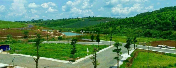 Giá thỏa thuận 950 triệu bán đất diện tích đúng với trên ảnh 100m2 mặt tiền nằm ngay Bảo Lâm, Lâm Đồng-03