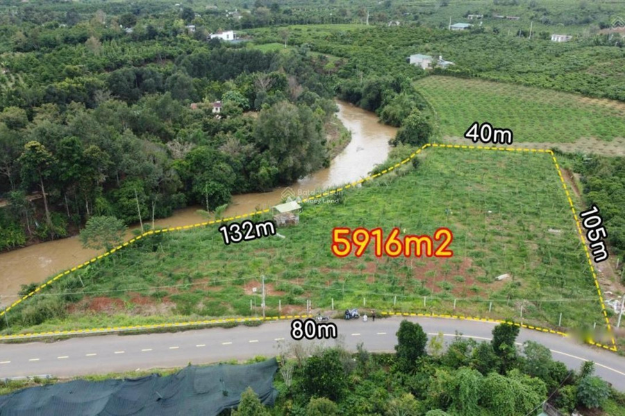 Tại Bảo Lâm, Lâm Đồng bán đất 9.5 tỷ có diện tích chung là 6m2-01