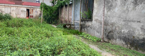 Cần bán đất vị trí đặt ở Yên Lạc, Vĩnh Phúc. Diện tích 100m2-02