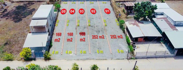 Chính chủ bán 5 lô liền kề, MT đường betong Trang Long, cách vòng xoay Hậu Nghĩa, QLN2 200m -02