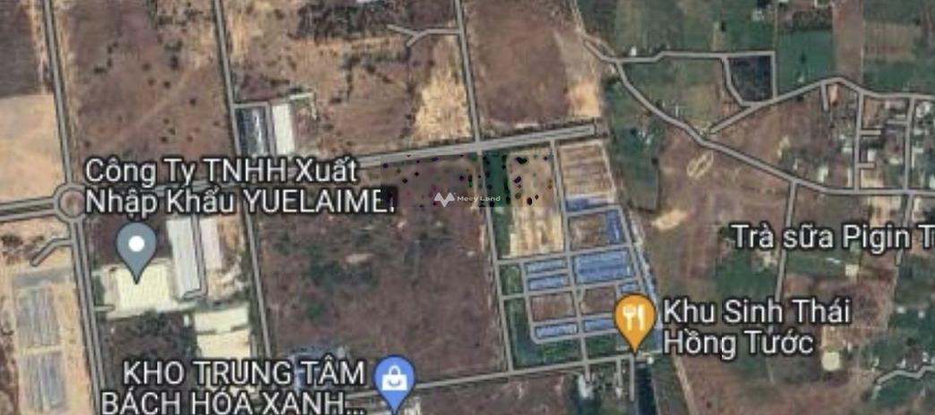 Bán đất 3.28 tỷ Đt 707, Hàm Thuận Nam có diện tích 1491m2