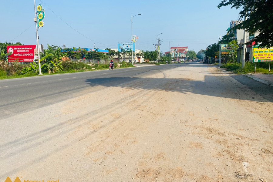 Bán đất mặt đường QL2C Gò Xoan, Thanh Vân, Tam Dương-01