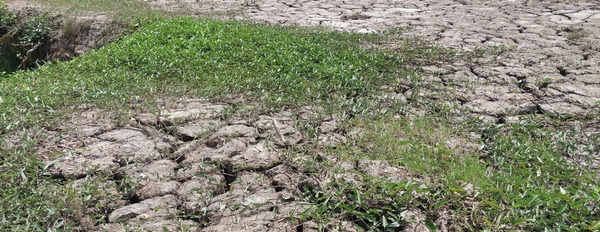 Cần chuyển nhượng gấp đất nền + nông nghiệp tại ấp An Phú ,xã Khánh An, huyện U Minh, tỉnh Cà Mau-03