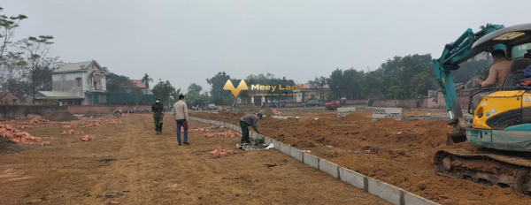 Huyện Quốc Oai, Hà Nội 1.6 tỷ bán đất diện tích là 90m2-02