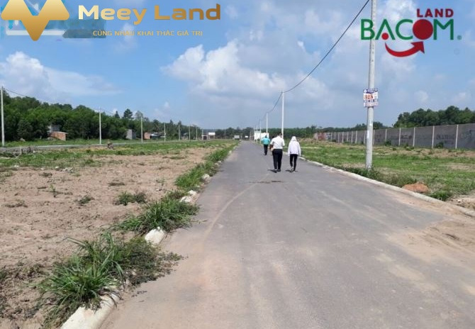 Ở Biên Hòa, Đồng Nai bán đất 1.15 tỷ toàn bộ khu vực có diện tích 83m2