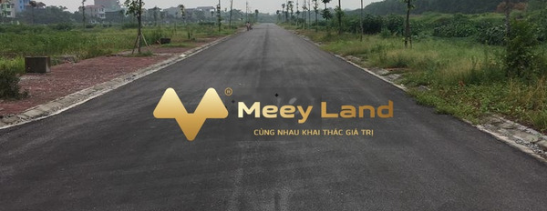 Phù Chẩn, Bắc Ninh 1.8 tỷ bán đất diện tích chung 100 m2-02