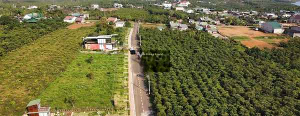 Lộc Phú, Bảo Lâm 790 triệu bán đất diện tích là 127m2-02