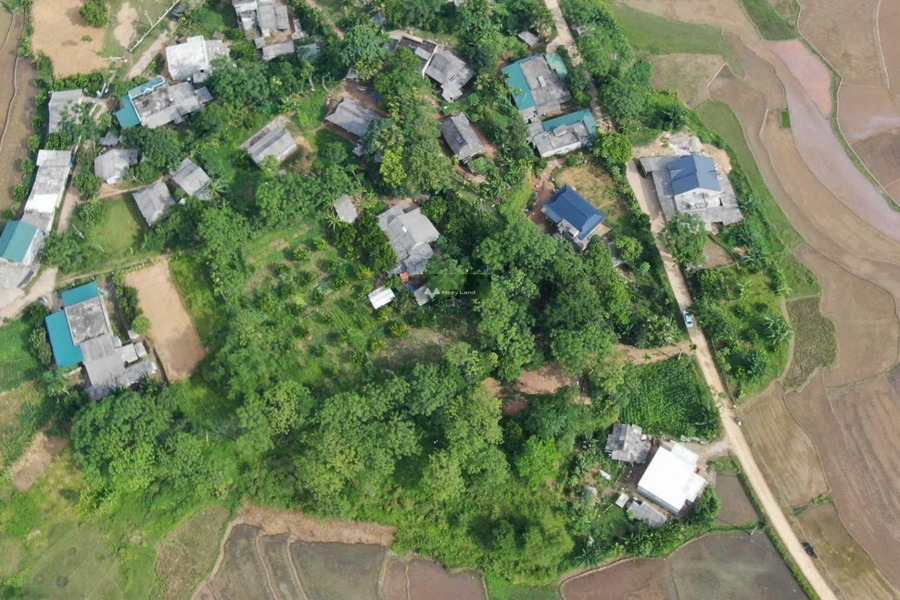 Khoảng từ 700 triệu bán đất diện tích thực như trên hình 1404m2 mặt tiền tọa lạc trên Lỗ Sơn, Hòa Bình-01