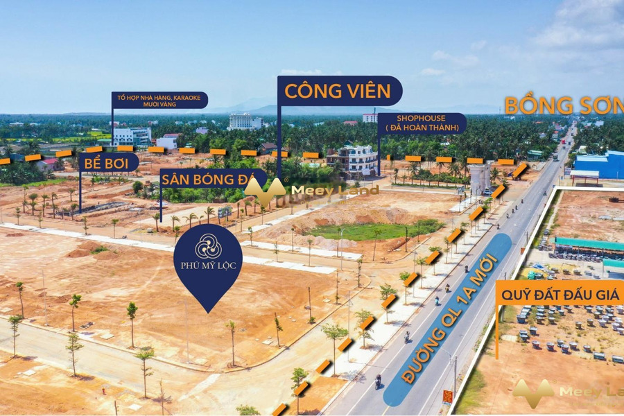 Giá bán mua liền từ 1,6 tỷ, bán đất diện tích rộng là 100 m2, tọa lạc tại Quốc Lộ 1A, Bình Định-01