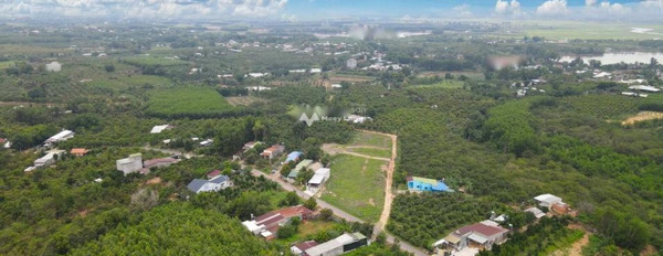 250 triệu bán đất diện tích rộng là 100m2 gần Phú Ngọc, Đồng Nai-02