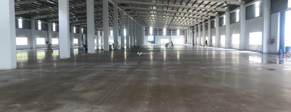 Vị trí ngay trên Hố Nai 3, Trảng Bom cho thuê kho bãi 11000m2 thuê ngay với giá êm chỉ 715 triệu/tháng lh ngay kẻo lỡ-02