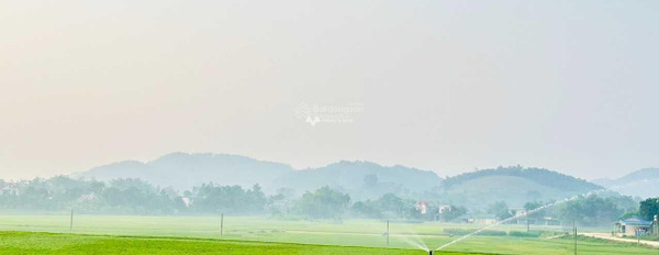 Công việc cấp bách bán mảnh đất, 100m2 vị trí đặt ngay Yên Sơn, Tuyên Quang, hướng Đông - Nam khu vực đông đúc-02
