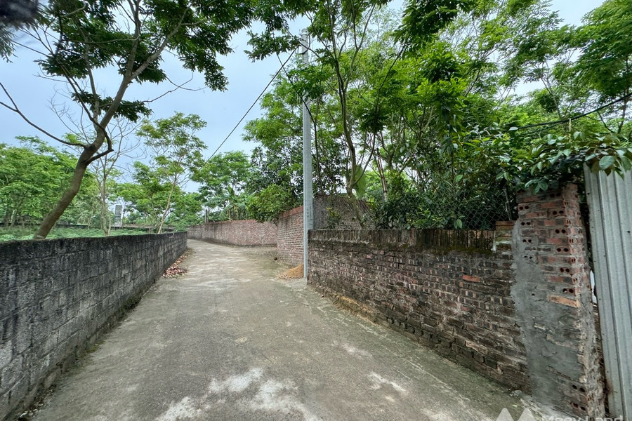 Bán ô đất 1240m2 tại Nhân Lý, Tam Quan, Tam Đảo, Vĩnh Phúc-01