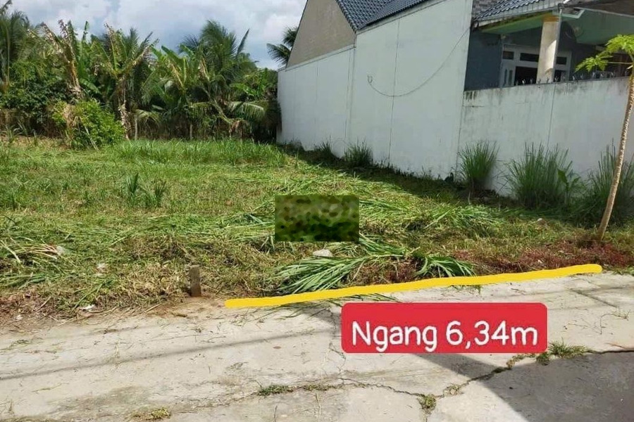 bán nền full thổ 153m2 , xã huu định , châu thành , bến tre -01