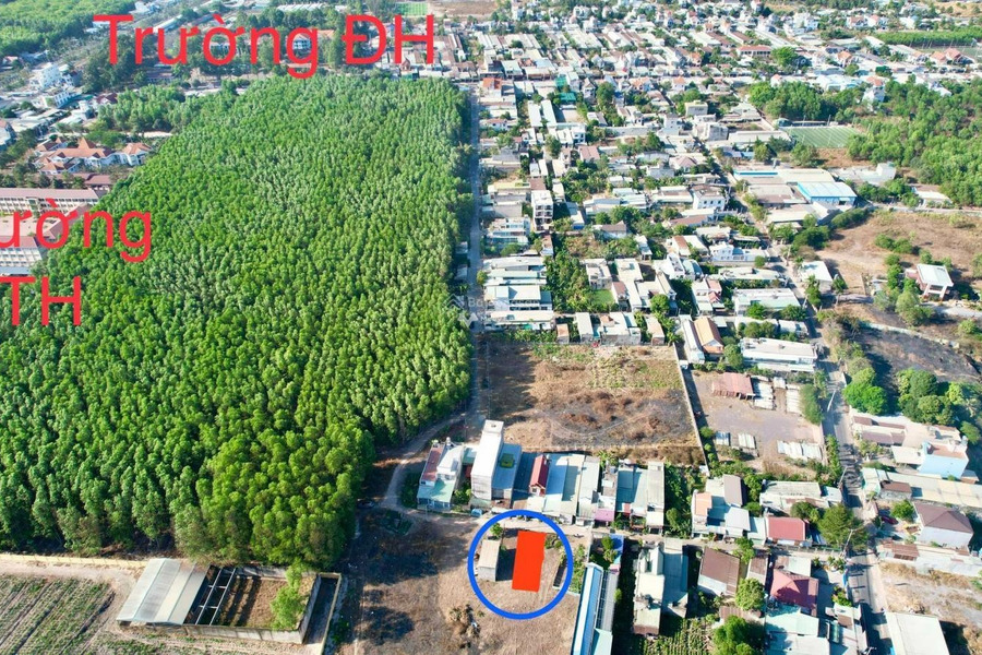 Nằm tại Phùng Hưng, Đồng Nai bán đất 1.35 tỷ diện tích 105m2-01
