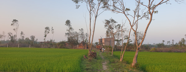 Bán 2,5 ha đất trang trại tại Thăng Bình, Quảng Nam-02