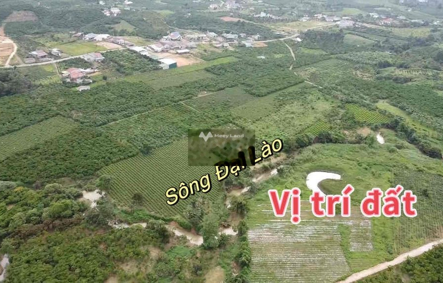 Chuyển công tác bán đất Bảo Lộc, Lâm Đồng giá bán thực tế 1.7 tỷ diện tích thực khoảng 1736m2-01