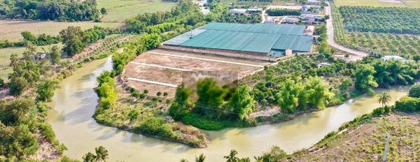Giá bán liền chỉ 970 triệu, Bán đất Diện tích nền 90m2 nằm tại Suối Cát, Khánh Hòa thích hợp kinh doanh-03
