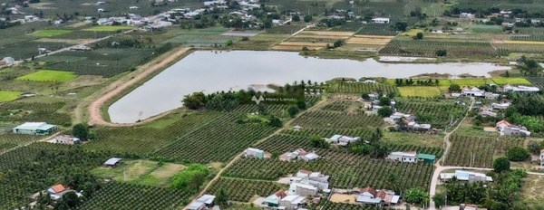 Ở Hồng Sơn, Bình Thuận bán đất 1.21 tỷ diện tích tổng là 3659m2-03