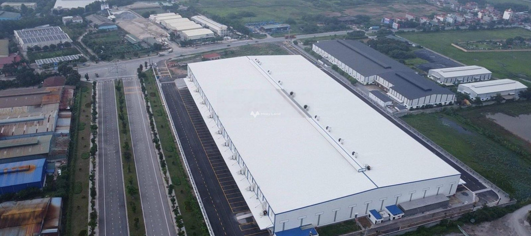 Bán kho bãi diện tích 8000m2 Quốc Lộ 5, Việt Hưng