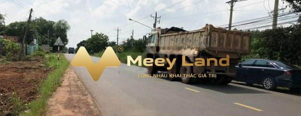 Tân Hưng, Bình Phước bán đất giá bán đặc biệt từ 700 triệu diện tích trong khoảng 200m2-03