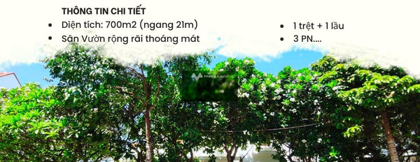 Vị trí trung tâm Phan Đình Phùng, Mỹ Hương cho thuê nhà giá thuê đề xuất 20 triệu/tháng-03