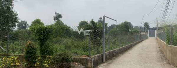 Vị trí đẹp gần Bình Lợi, Vĩnh Cửu bán đất giá bán đề xuất từ 15 tỷ diện tích gồm 3200m2, lộ mặt tiền ngang 6 mét-02