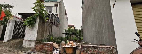 Bán đất tại Định Trung, Vĩnh Yên, Vĩnh Phúc. Diện tích 71m2-02