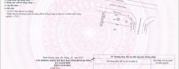 Đường D6, Bình Dương bán đất giá hợp lý chỉ 20.4 tỷ, hướng Đông - Bắc diện tích rộng 1375m2-02