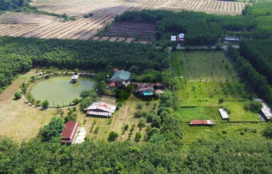 Bán đất 1.56 tỷ Phú Túc, Định Quán diện tích khoảng là 3000m2-01