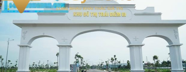 Nằm tại Tạ Xuân Thu, Tây Giang bán đất 2.1 tỷ với tổng diện tích 100 m2-03